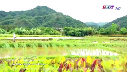 đại thời đại tập 501 - phim dai loan - thvl1 long tieng dai thoi dai tap 502