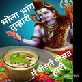 भक्ति गाना, भक्ति गीत, bhakti songs, भोला भांग तुम्हारी, में घोटत घोटत हारी