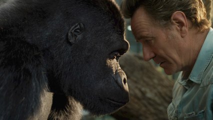 DER EINZIG WAHRE IVAN Film