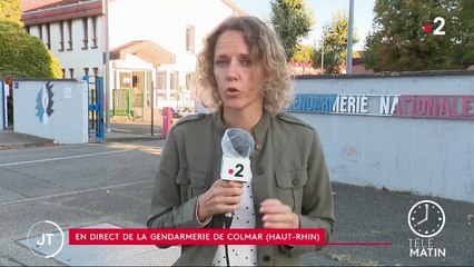 Chevaux mutilés : un suspect de 50 ans arrêté à Colmar