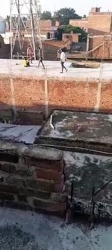मैनपुरी दलित युवक को पीट-पीटकर की हत्या