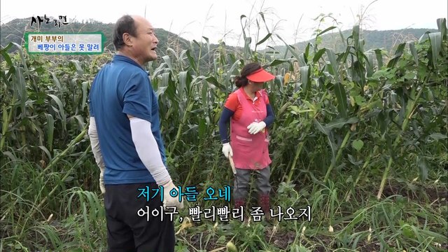 37살 베짱이 아들을 둔 개미 부부는 피곤해~