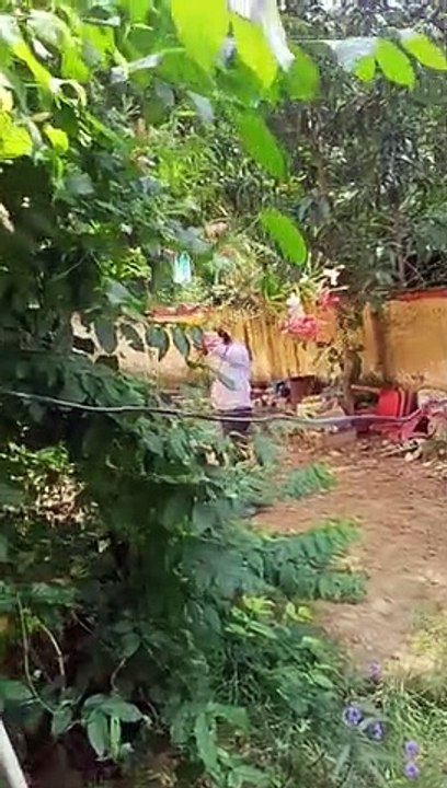 सीतापुर: नौकरी जाने के डर से शिक्षक ने किया आत्मदाह का प्रयास