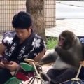 Maymun ve adamın arkadaşlığı. Bu maymun akıllı telefon kullanıyor:))
