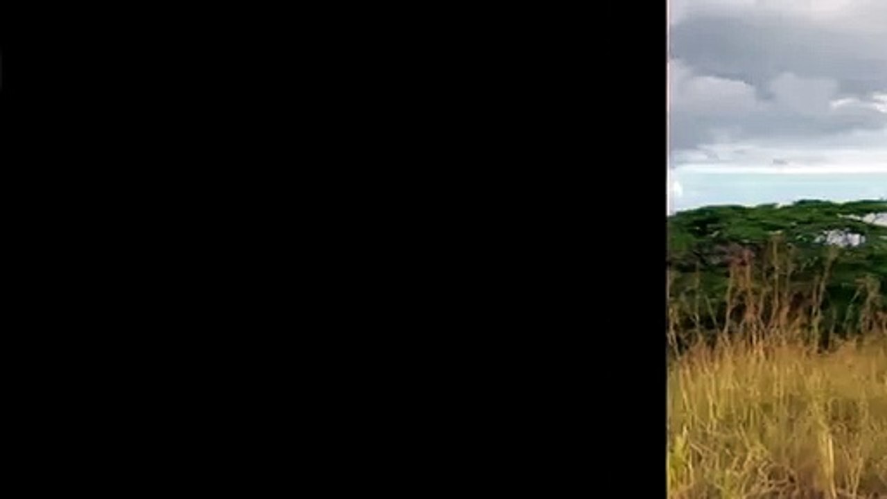 A vendre Terrain 4603m2 mi hauteur Punaauia, superbe vue mer. ( hors lotissement )