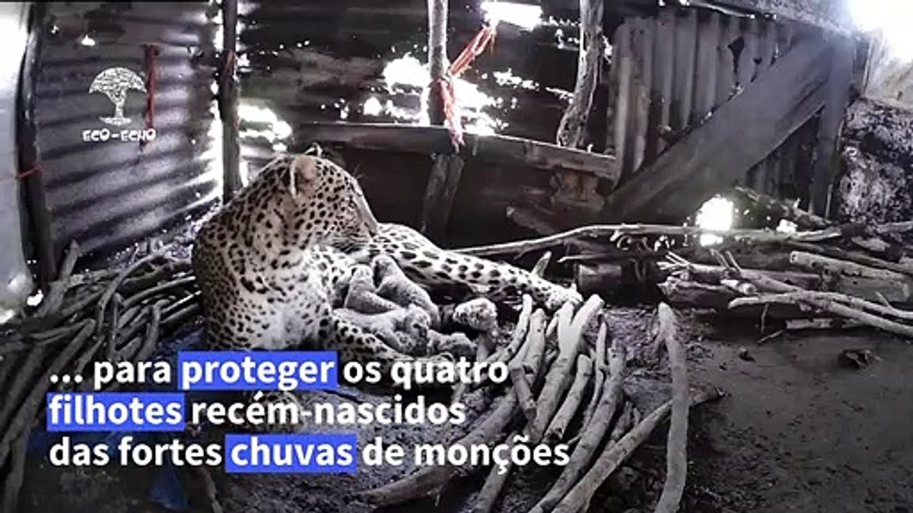 Cuidado materno