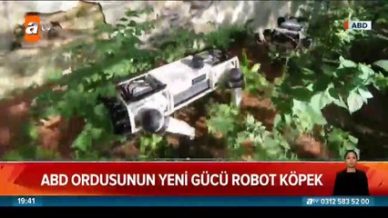 ABD ordusunda robot köpekler!