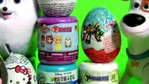 Surprise Mashems & Fashems Collection   Surprise Eggs Hello Kitty Disney Princess Sofia Frozen Olaf