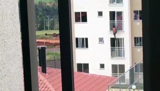 Homem-Aranha!? Para fugir da Polícia, homem tenta sair de prédio pela sacada