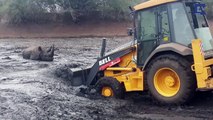 Ils utilisent les grands moyens pour sauver un rhinocéros piégé dans la boue