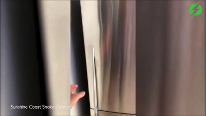 Ce qu'il trouve dans son frigo fait froid dans le dos...