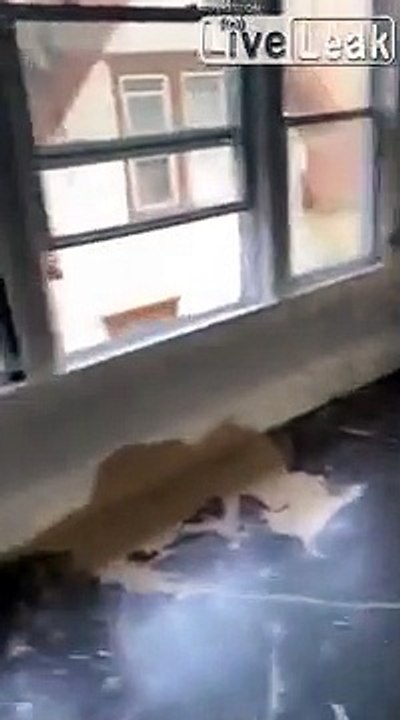 Il vire ses locataires qui ne payaient plus les loyers, ils se vengent en détruisant l'appartement