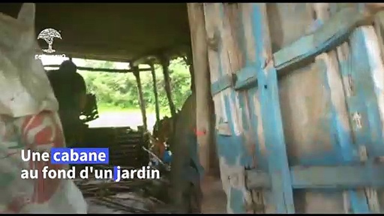 En Inde, une femelle léopard et ses bébés découverts dans un cabanon