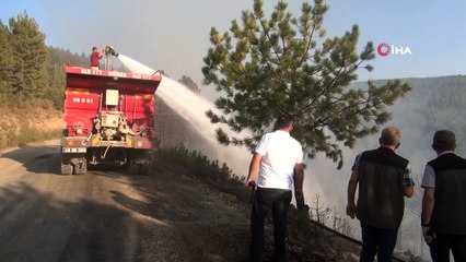 3 hektar ormanlık alan yandı