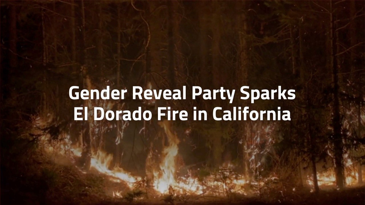 Gender Parties Are Dangerous