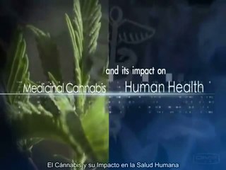 MEDICAL CANNABIS AND ITS IMPACT ON HUMAN HEALTH (V.O.S.E)