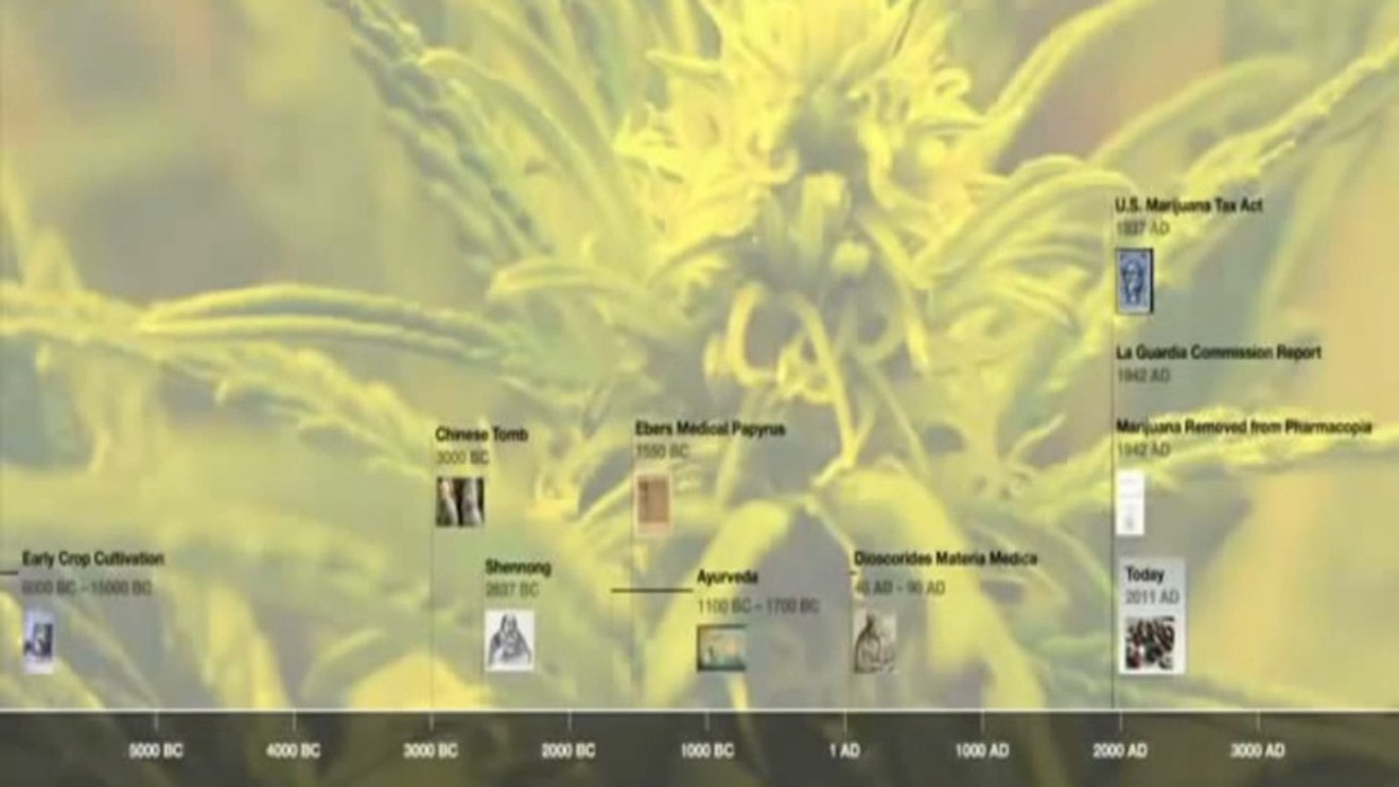 MEDICAL CANNABIS AND ITS IMPACT ON HUMAN HEALTH (V.O.S.E)