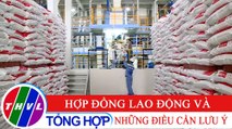 Đời sống pháp luật: Bộ luật Lao động năm 2019 - Kỳ 1: Hợp đồng lao động và những điều cần lưu ý