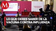 Aplicación de vacuna contra influenza será responsabilidad de gobiernos estatales: López-Gatell