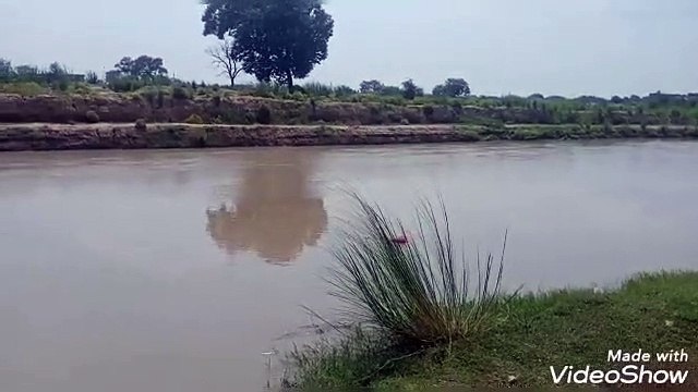 औरैया- नहर में बहते युवक का घसारा में युवती का अछल्दा में मिला शव