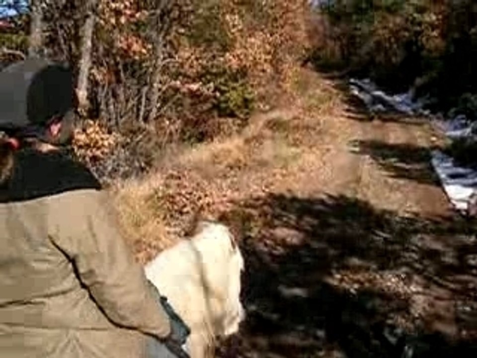 au pas en cordelette