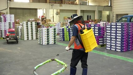 광주 하루 17명 확진...'민관공동대책회의' 결과 주목 / YTN