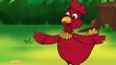Küçük Kırmızı Tavuk masal şarkısı (YENİ) - Sevimli Dostlar Bebek Şarkıları