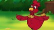 Küçük Kırmızı Tavuk masal şarkısı (YENİ) - Sevimli Dostlar Bebek Şarkıları