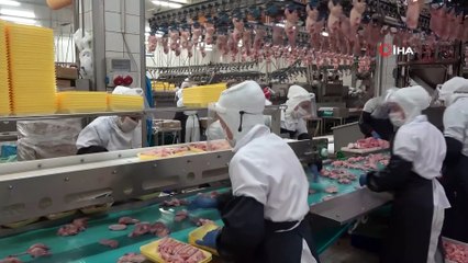 Gedik Piliç yılda 200 bin ton üretim yapıyor