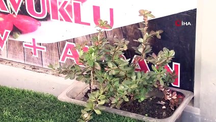 Ümraniye'de yaşlı adamın çiçek saksılarını çalması kameralarda