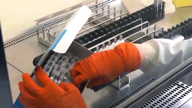 AstraZeneca pausa ensayo de vacuna Covid por una enfermedad potencialmente inexplicable