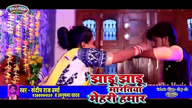 _VIDEO_SONG __ 2020 का सबसे सुपर हिट गाना __ झाड़ू लेके मरतिया मेहरी हमार __ _Sandeep_Raj_Varma(480P)