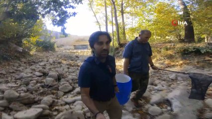 Kuruyan derede yavru balıklar için seferber oldular