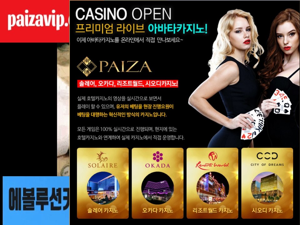 파이자/호텔영상/API연동/목욕하는 양이