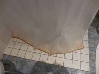 Votre rideau de douche est bien plus dangereux qu'il n'y paraît