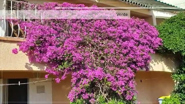 A vendre - Maison/villa - ROQUEBRUNE SUR ARGENS (83380) - 4 pièces - 105m²