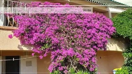 A vendre - Maison/villa - ROQUEBRUNE SUR ARGENS (83380) - 4 pièces - 105m²