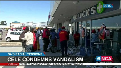 Cele condemns vandalism