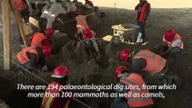 Mammoth bones discovered at Mexico City airport construction site