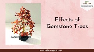 Effects of Gemstone Trees | Benifits of Gemstone Trees