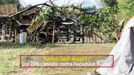 Nantes-Saint-Nazaire : une ZAD s'installe contre l'extension du port