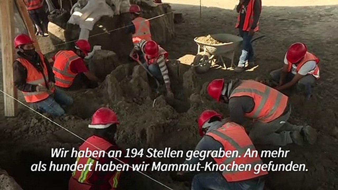Riesige mammutknochen auf flughafenbaustelle entdeckt