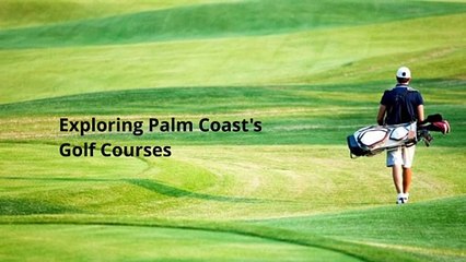 Exploring Palm Coast Beaches!