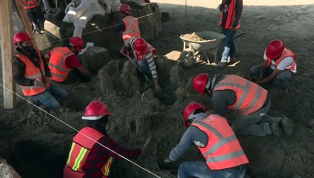 بقايا حيوانات من حقبة ما قبل التاريخ تحت مطار قيد الإنشاء في مكسيكو