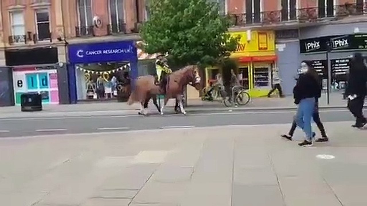 Chevaux de police vs Passage piéton pro-LGBT