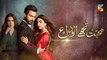 Mohabbat Tujhe Alvida Episode 14 Promo HUM TV Drama