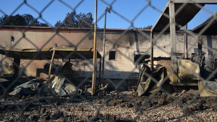 المهاجرون باليونان.. من مأساة اللجوء إلى مآس كثيرة