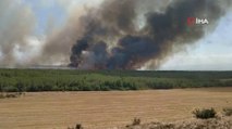 Tekirdağ'daki yangın Çanakkale'ye sıçradı