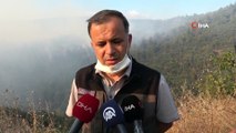 Bursa'daki orman yangını devam ediyor