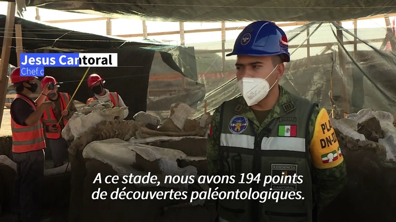 Mexico: sous le futur aéroport, une centaine de mammouths surgissent de la préhistoire